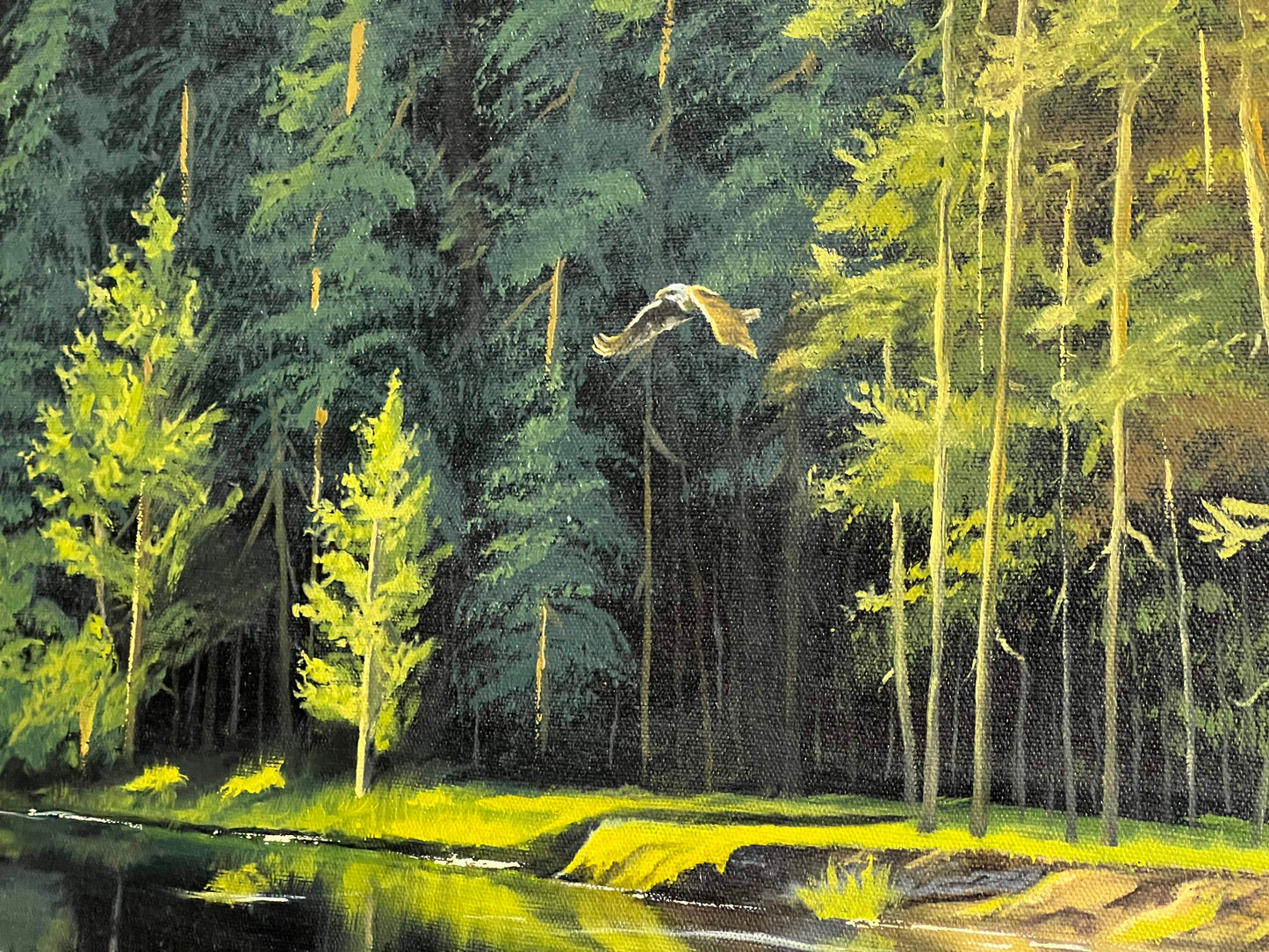 Realistic Forest Landscape Oil Painting 24*18 Inches